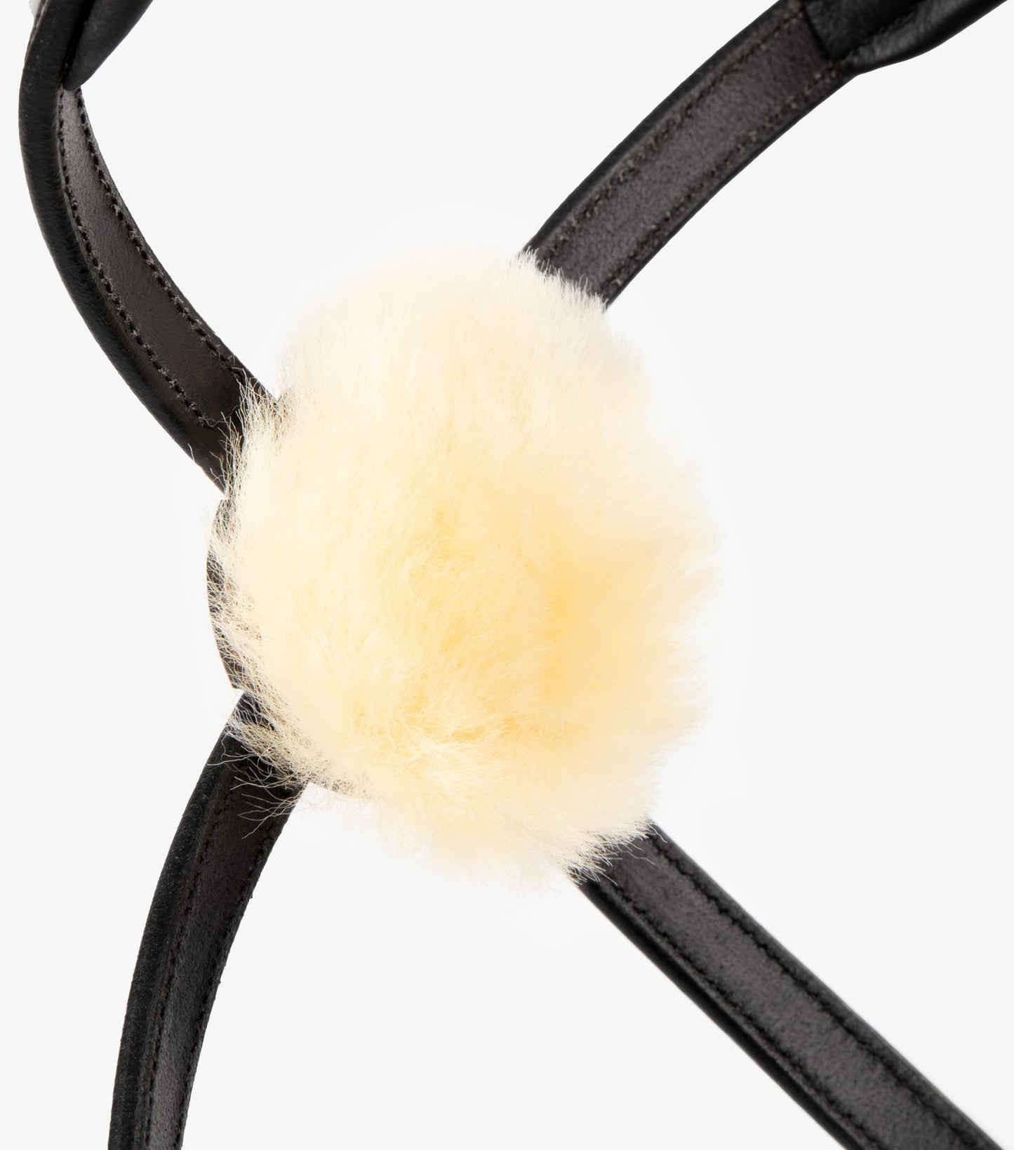 Premier Equine Glorioso Mexican Grackle Noseband - N P Equestrian & Pet Supplies Ltd