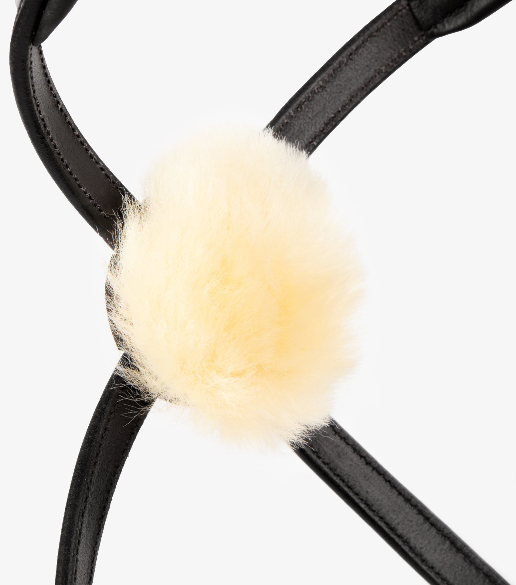 Premier Equine Glorioso Mexican Grackle Noseband - N P Equestrian & Pet Supplies Ltd