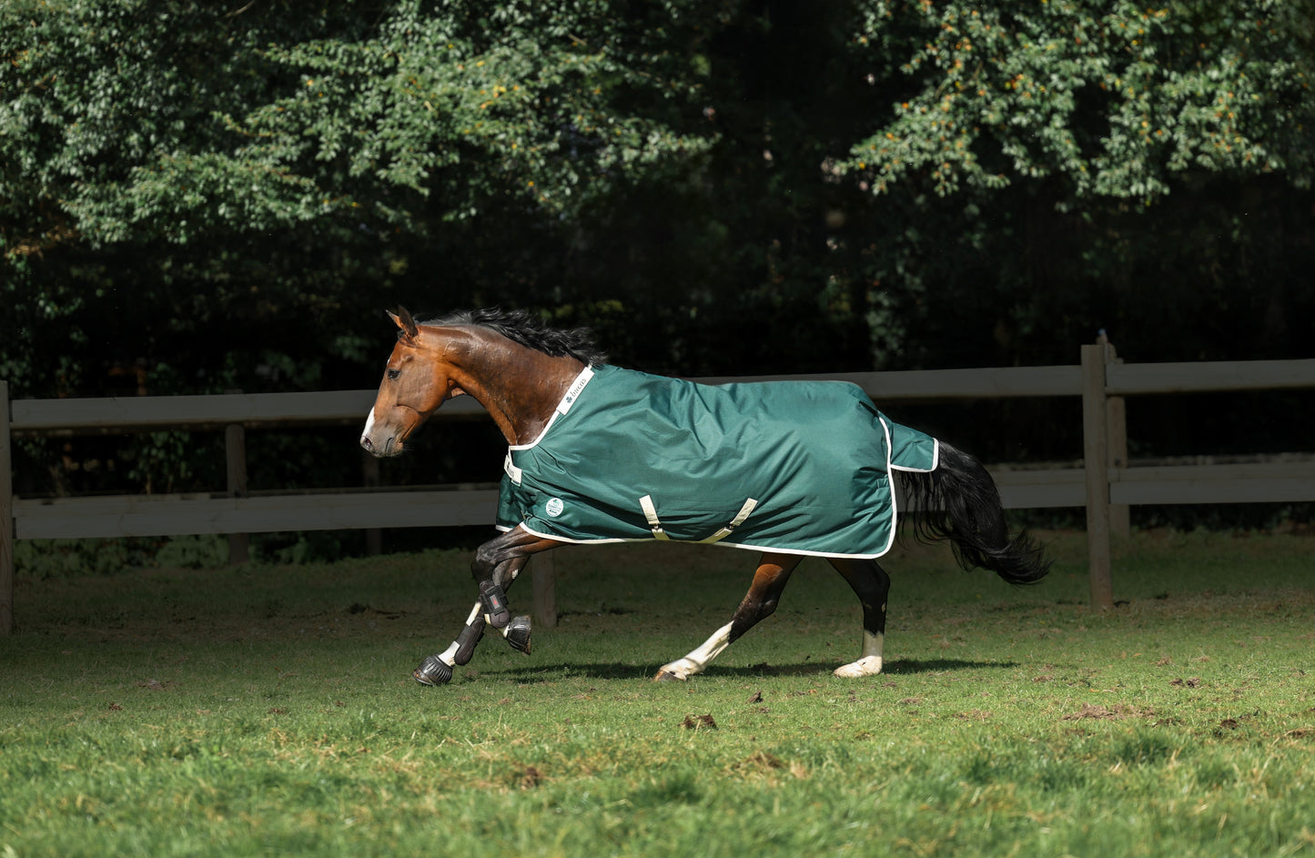 Bucas Greenline 100g Standard Neck Turnout Rug - Green/Cream