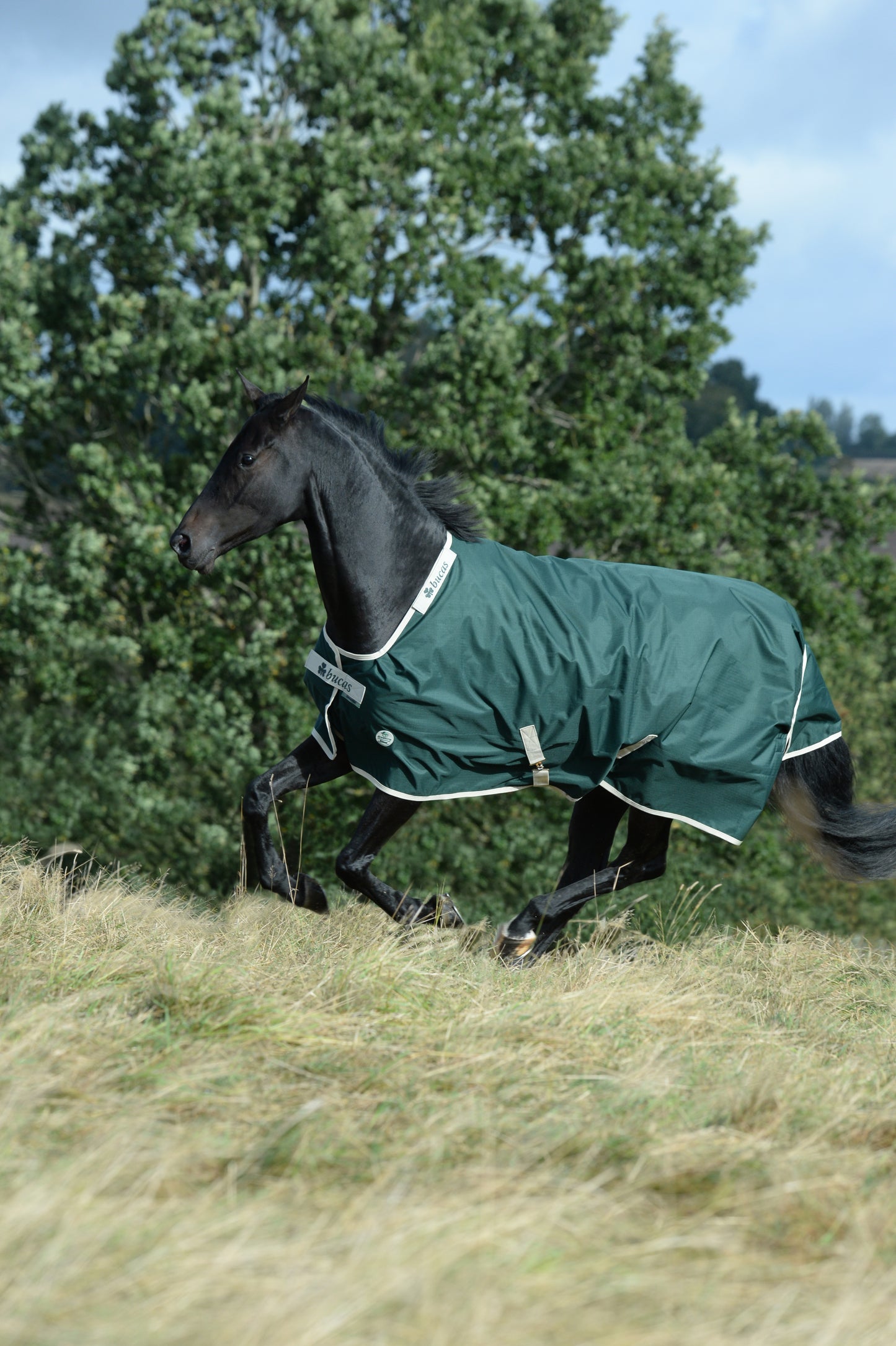 Bucas Greenline 300g Standard Neck Turnout Rug - Green/Cream