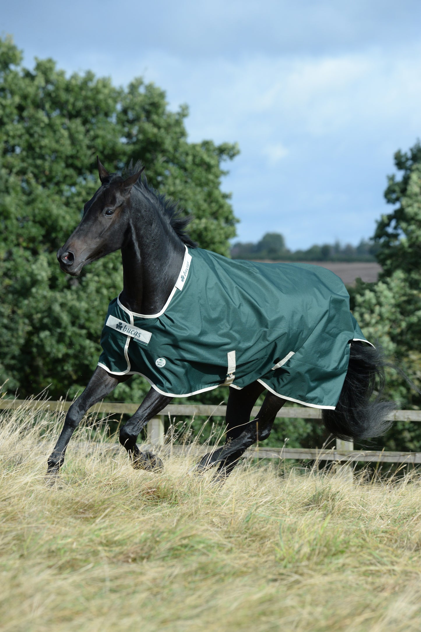 Bucas Greenline 300g Standard Neck Turnout Rug - Green/Cream