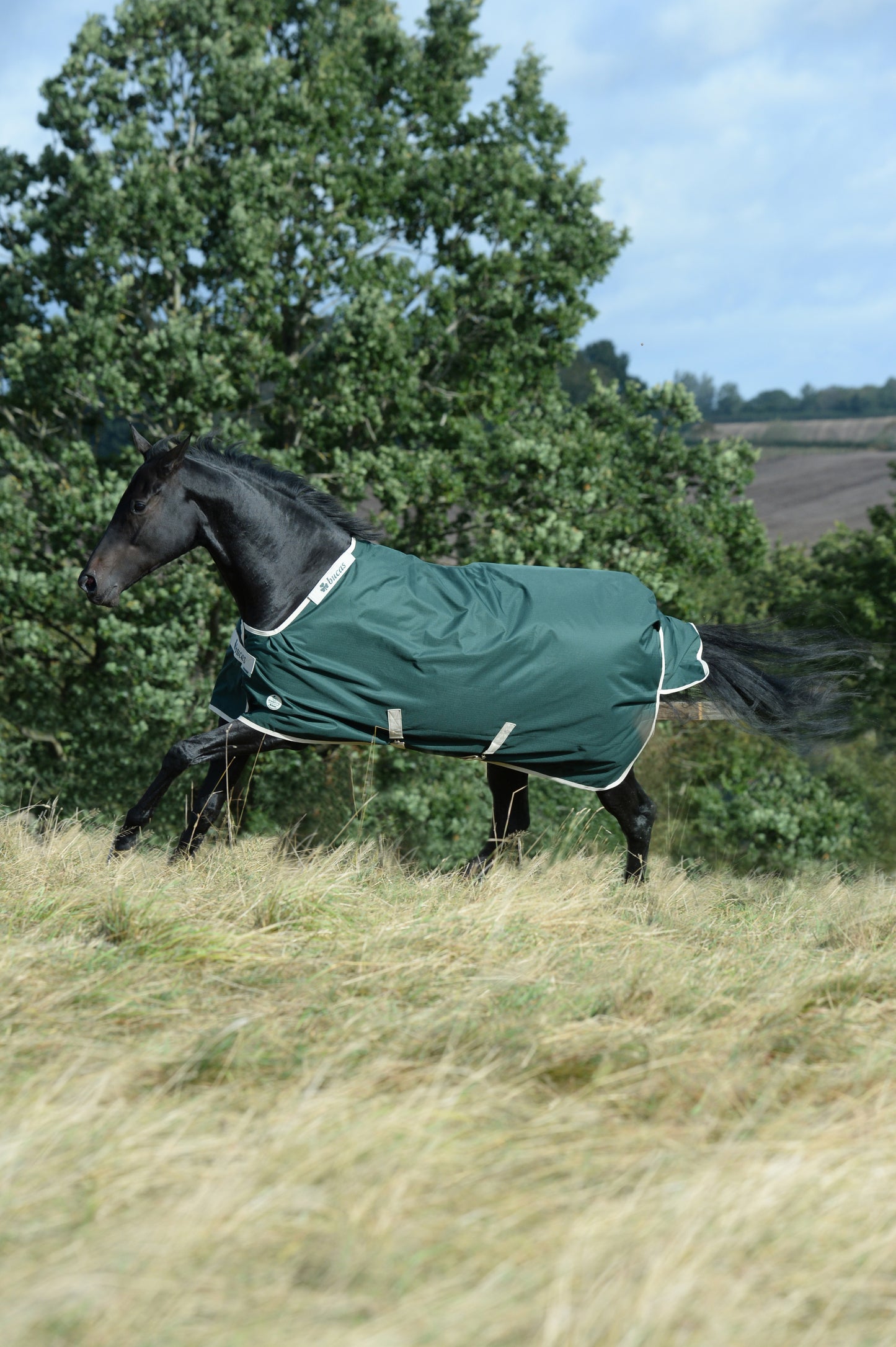 Bucas Greenline 300g Standard Neck Turnout Rug - Green/Cream