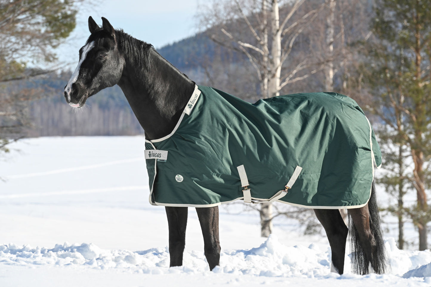 Bucas Greenline 300g Standard Neck Turnout Rug - Green/Cream