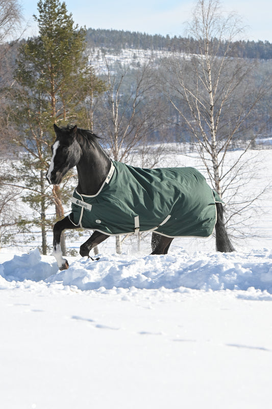 Bucas Greenline 300g Standard Neck Turnout Rug - Green/Cream