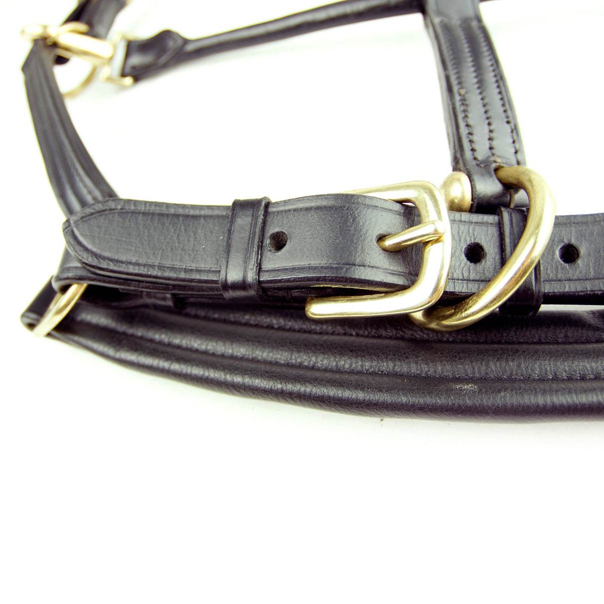 Dever Saddlery Ascot Padded Leather Head Collar - N P Equestrian & Pet Supplies Ltd 