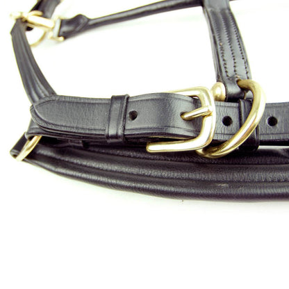 Dever Saddlery Ascot Padded Leather Head Collar - N P Equestrian & Pet Supplies Ltd 