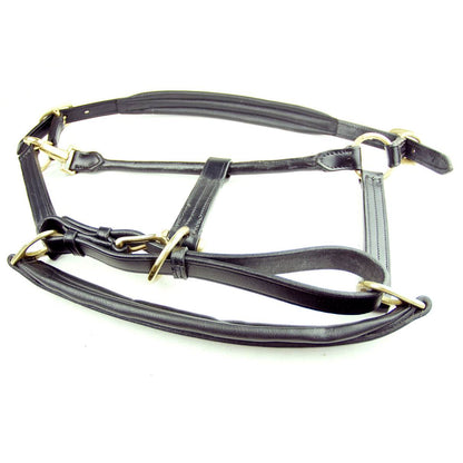 Dever Saddlery Ascot Padded Leather Head Collar - N P Equestrian & Pet Supplies Ltd 