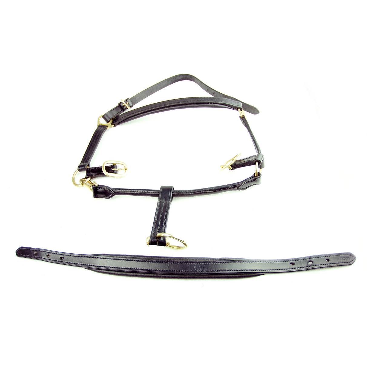 Dever Saddlery Ascot Padded Leather Head Collar - N P Equestrian & Pet Supplies Ltd 