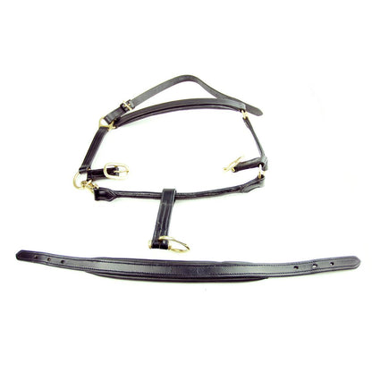 Dever Saddlery Ascot Padded Leather Head Collar - N P Equestrian & Pet Supplies Ltd 