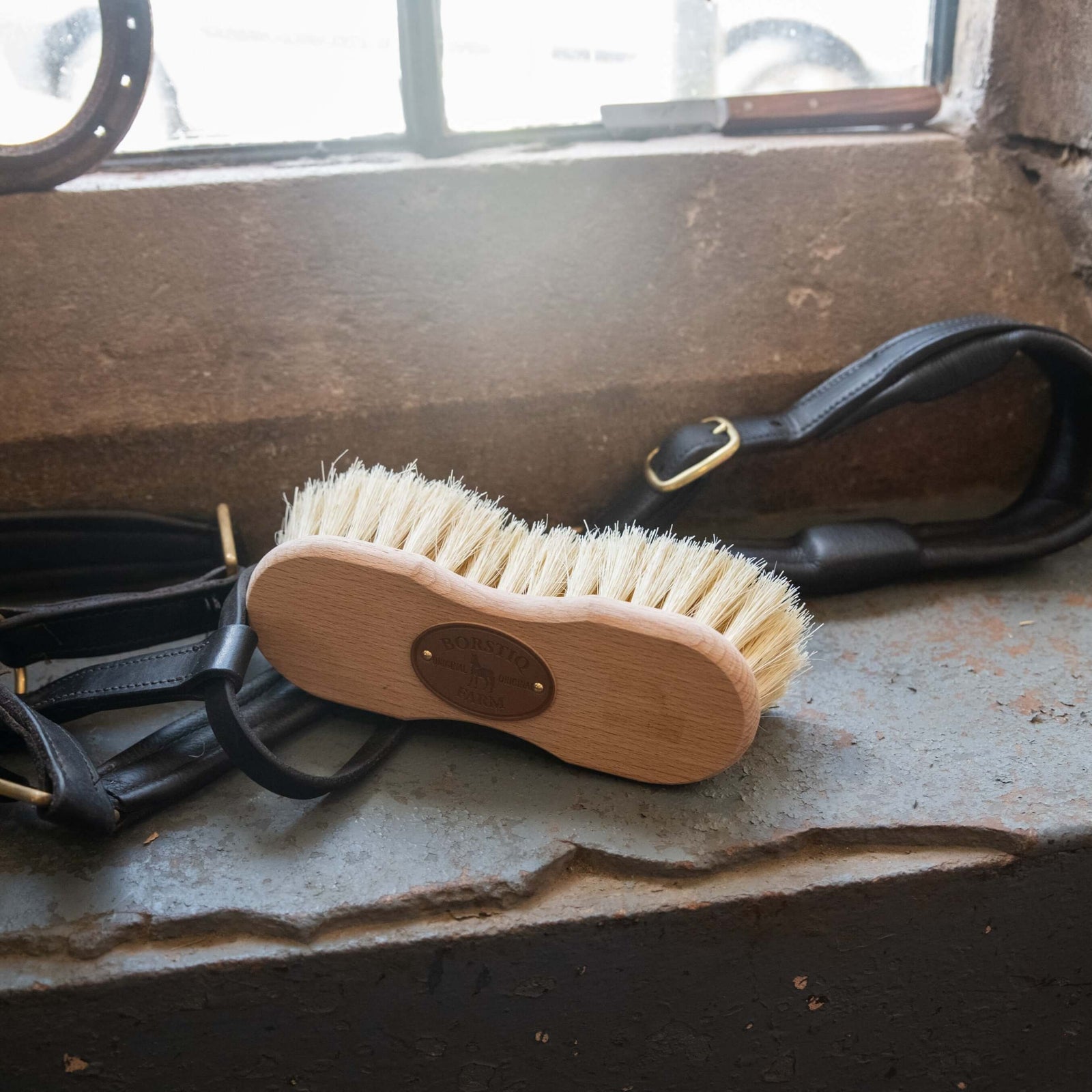 Borstiq Shaped Mex Fibre Brush - N P Equestrian & Pet Supplies Ltd
