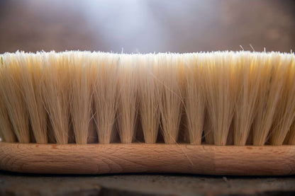 Borstiq Shaped Mex Fibre Brush - N P Equestrian & Pet Supplies Ltd