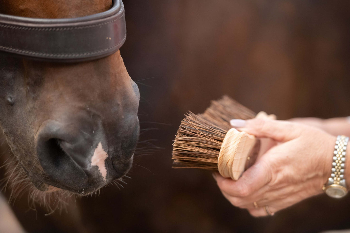 Borstiq Banana Dandy Brush - N P Equestrian & Pet Supplies Ltd