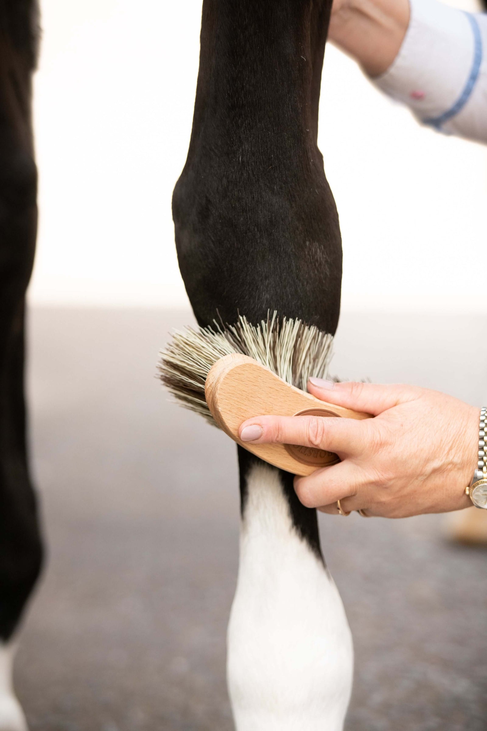 Borstiq Banana Medium Brush - N P Equestrian & Pet Supplies Ltd