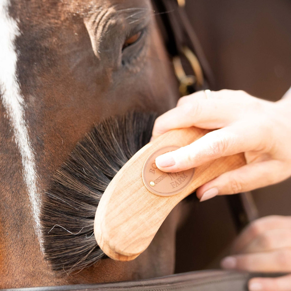 Borstiq Banana Finishing Brush - N P Equestrian & Pet Supplies Ltd