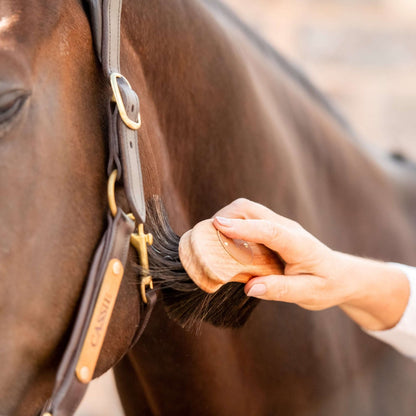 Borstiq Banana Finishing Brush - N P Equestrian & Pet Supplies Ltd