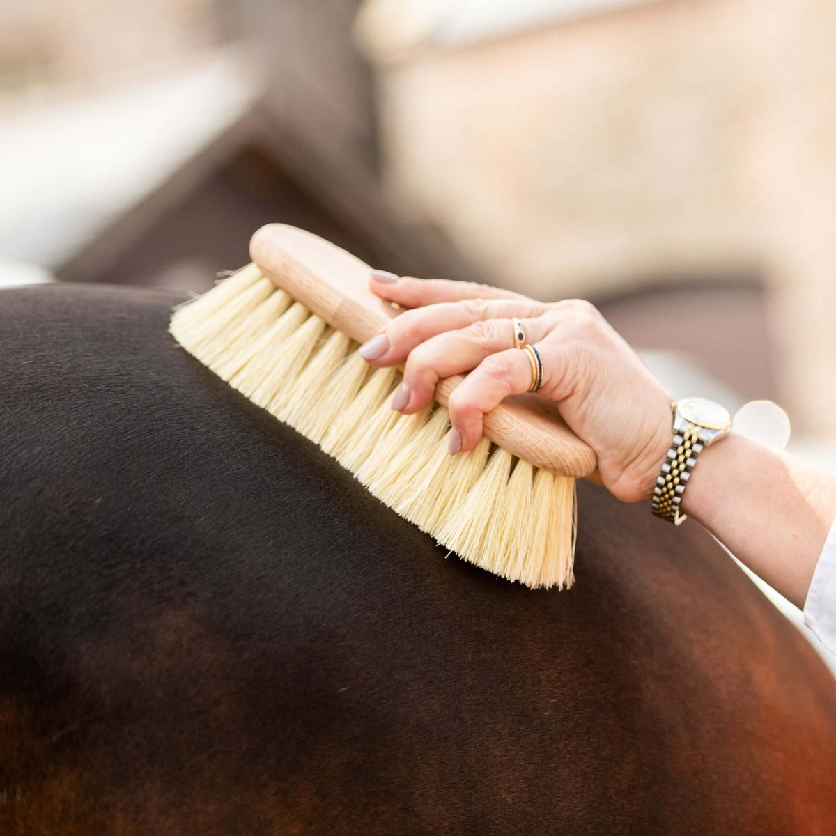 Borstiq Shaped Mex Fibre Brush - N P Equestrian & Pet Supplies Ltd