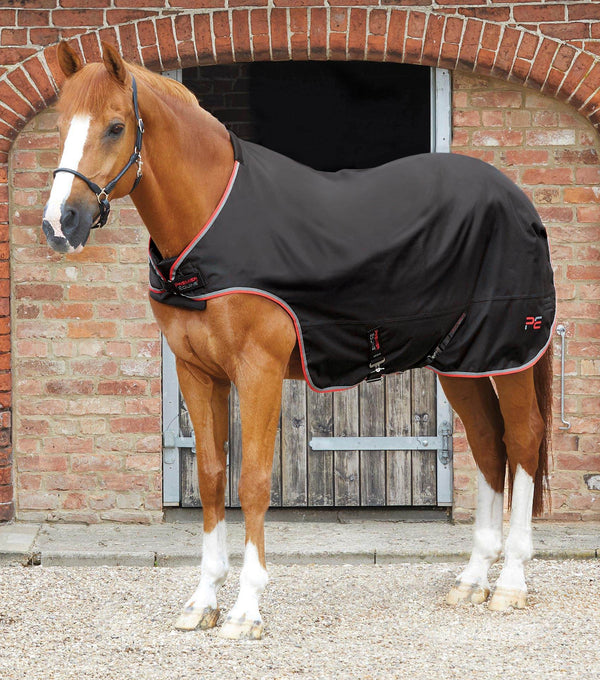 Premier Equine Horse Walker Rug 100g Black - N P Equestrian & Pet Supplies Ltd 