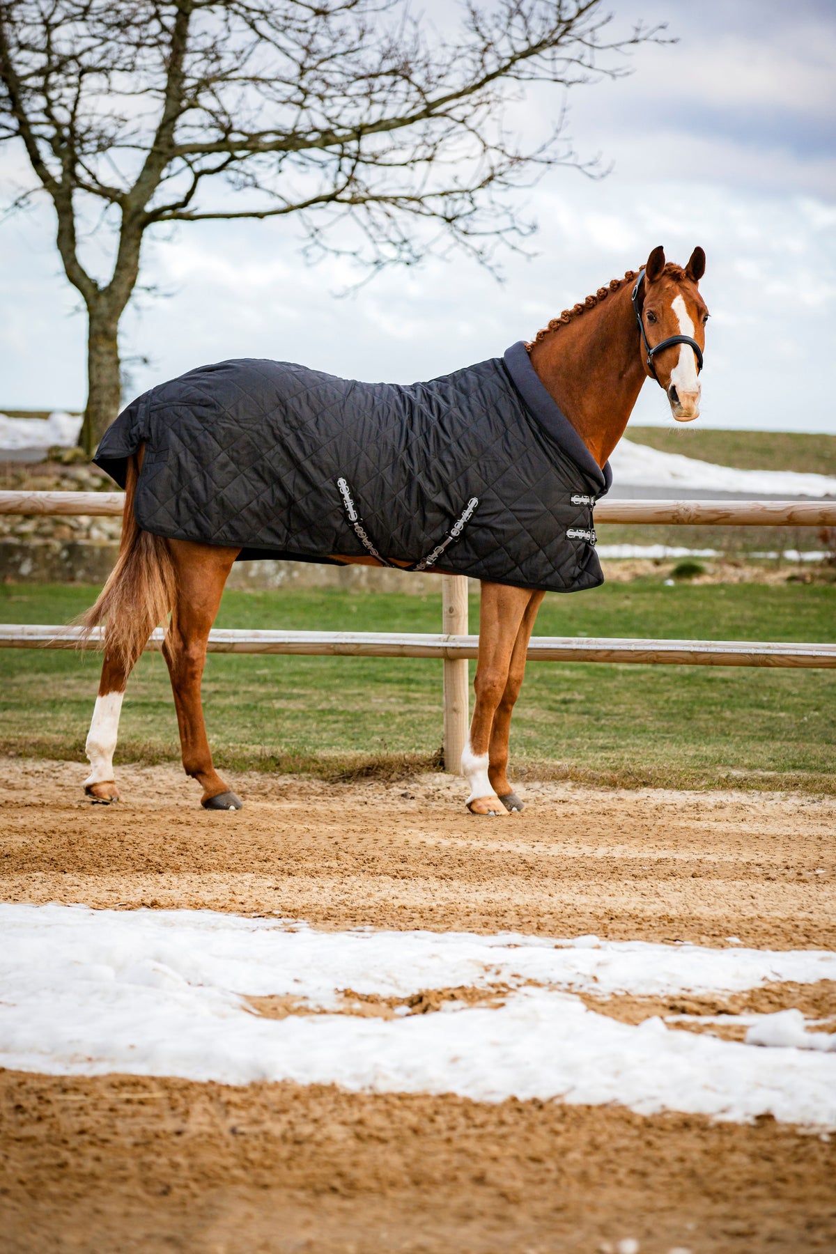 Catago Denver 100g Stable Rug - Black