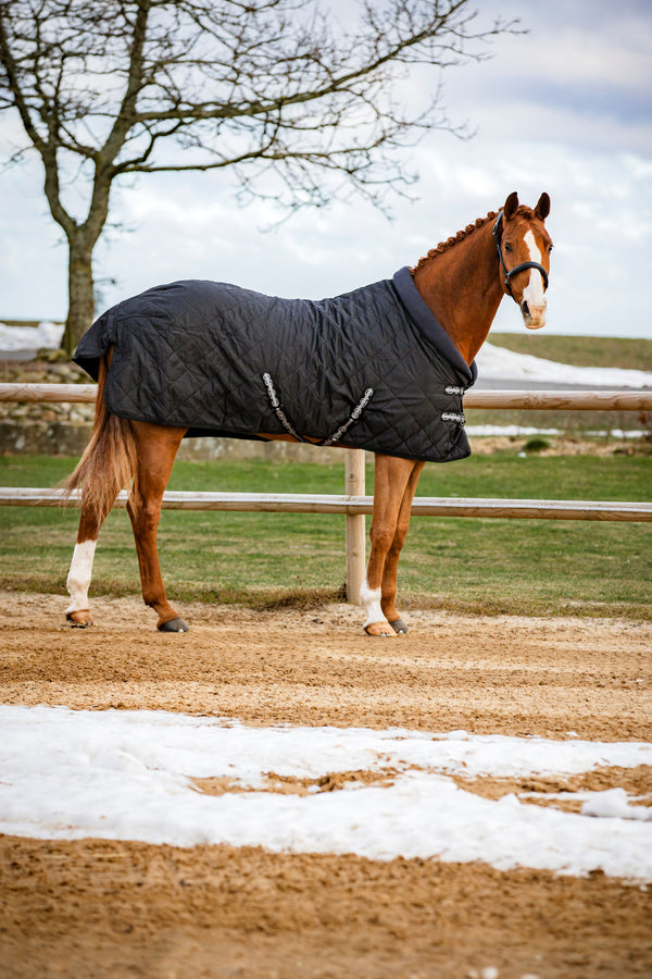 Catago Denver 100g Stable Rug - Black - N P Equestrian & Pet Supplies Ltd 