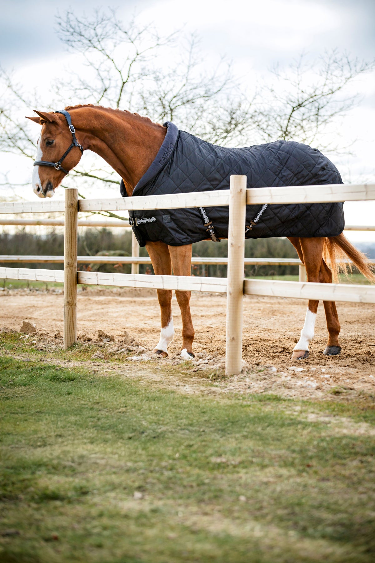 Catago Denver 100g Stable Rug - Black