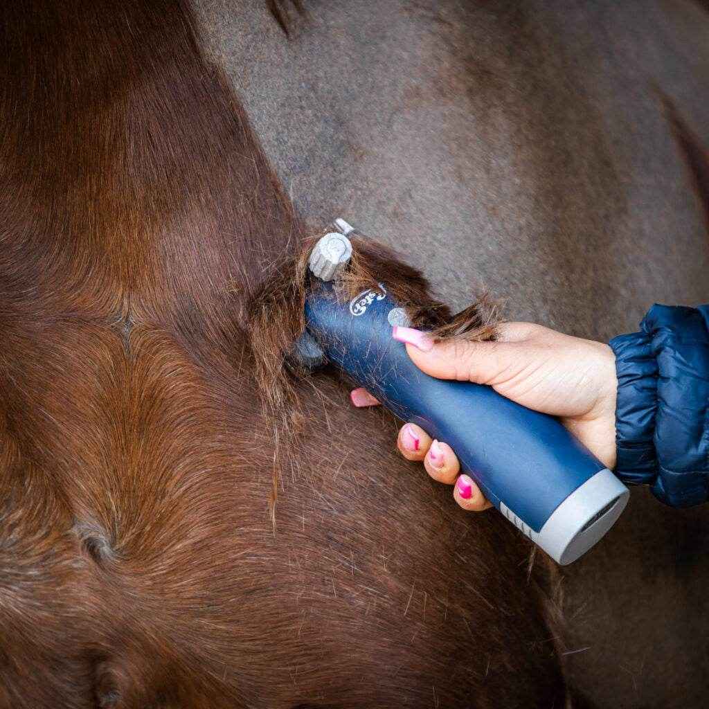 Lister Eclipse Equine Cordless Clipper