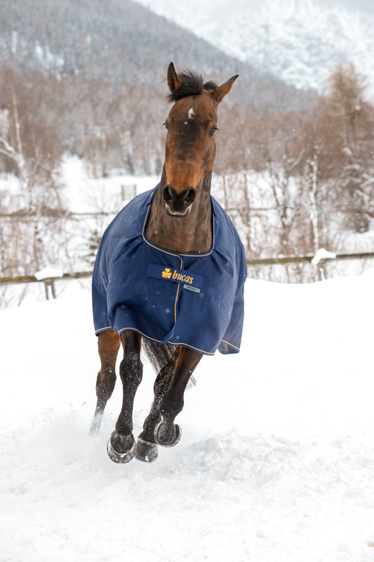 Bucas Irish 150g Standard Neck Turnout Rug - Navy/Gold