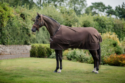 Bucas Irish 300g Standard Neck Turnout Rug - Espresso