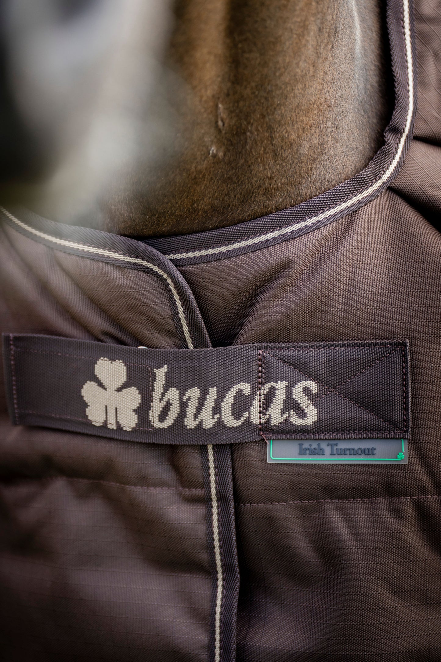 Bucas Irish 300g Standard Neck Turnout Rug - Espresso