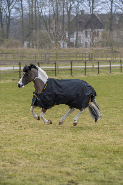 Bucas Irish 0g Standard Neck Turnout Rug - Black/Gold