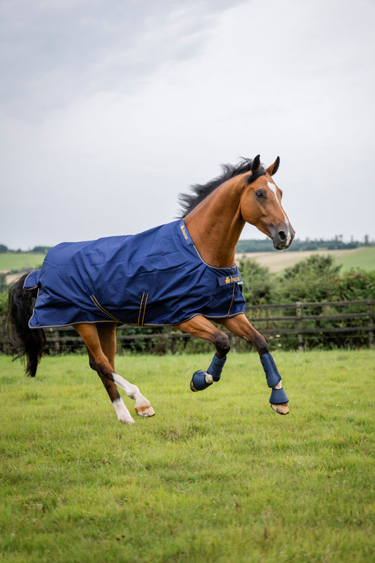 Bucas Irish 50g Standard Neck Turnout Rug - Navy/Gold
