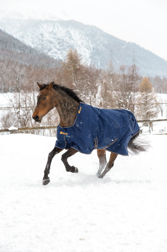 Bucas Irish 300g Standard Neck Turnout Rug - Navy/Gold
