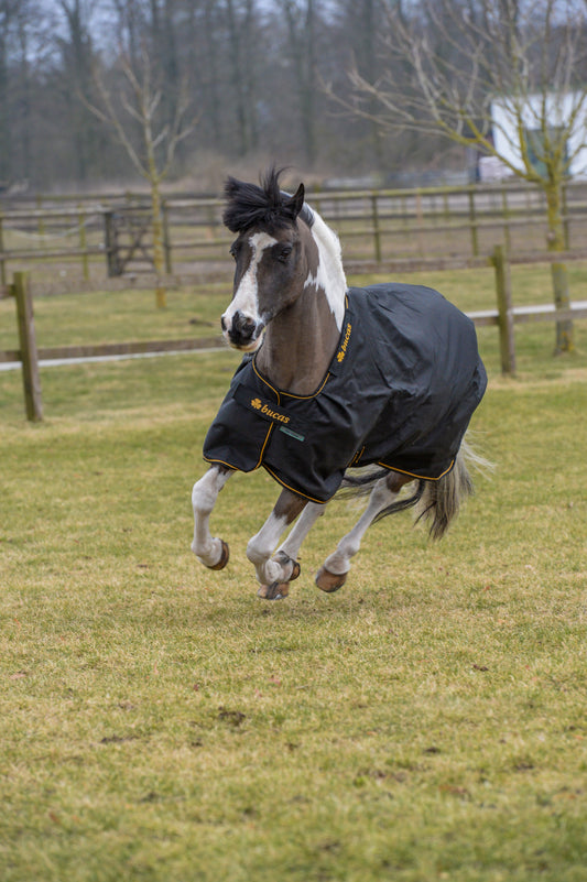 Bucas Irish 0g Standard Neck Turnout Rug - Black/Gold