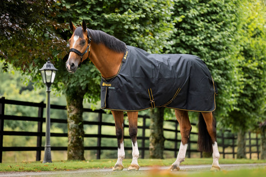 Bucas Irish 100g Standard Neck Turnout Rug - Black/Gold