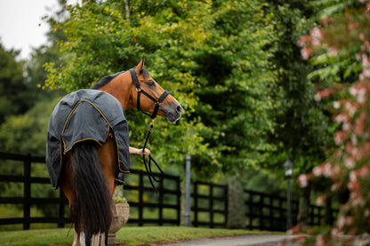 Bucas Irish 100g Standard Neck Turnout Rug - Black/Gold