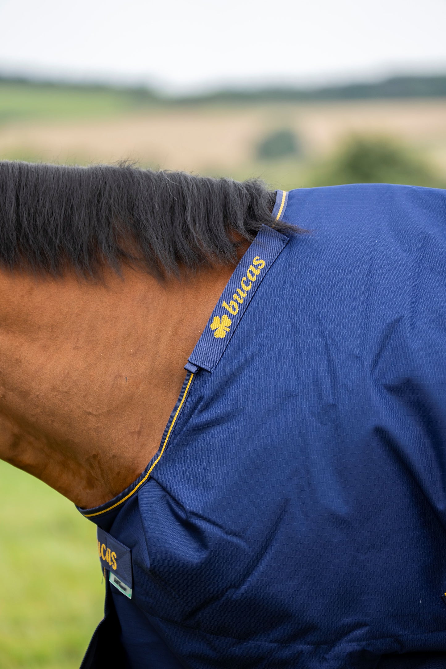 Bucas Irish 50g Standard Neck Turnout Rug - Navy/Gold