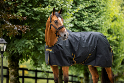 Bucas Irish 50g Standard Neck Turnout Rug - Black/Gold