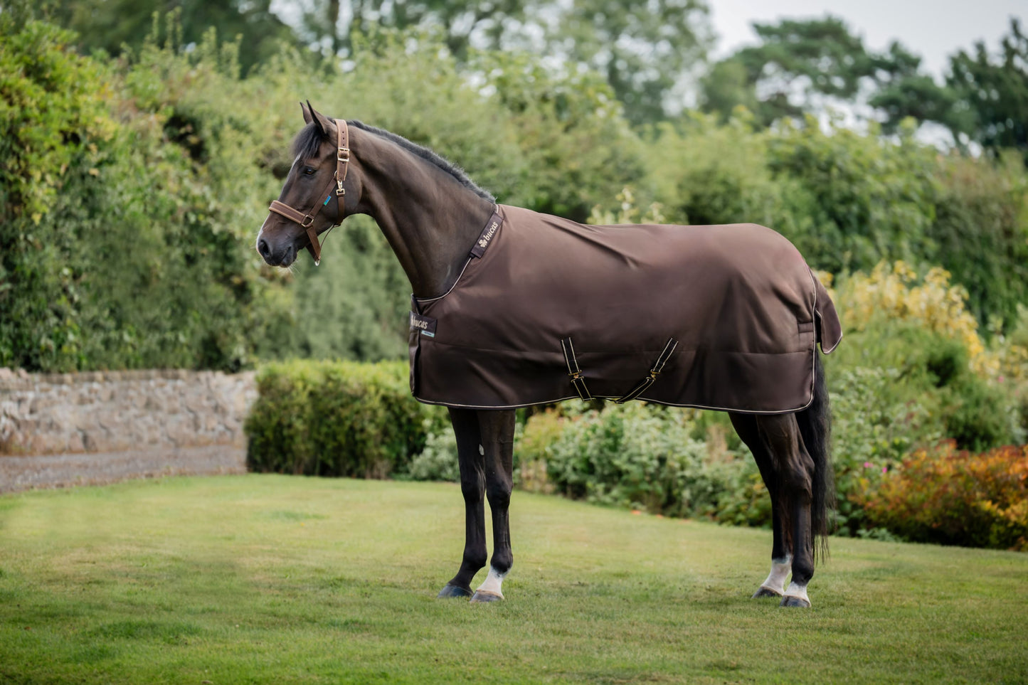 Bucas Irish 50g Standard Neck Turnout Rug - Espresso