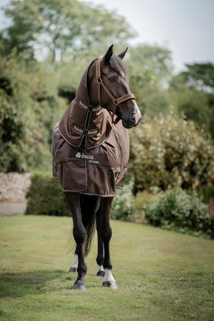 Bucas Irish 300g Turnout Rug with Neck Cover - Espresso