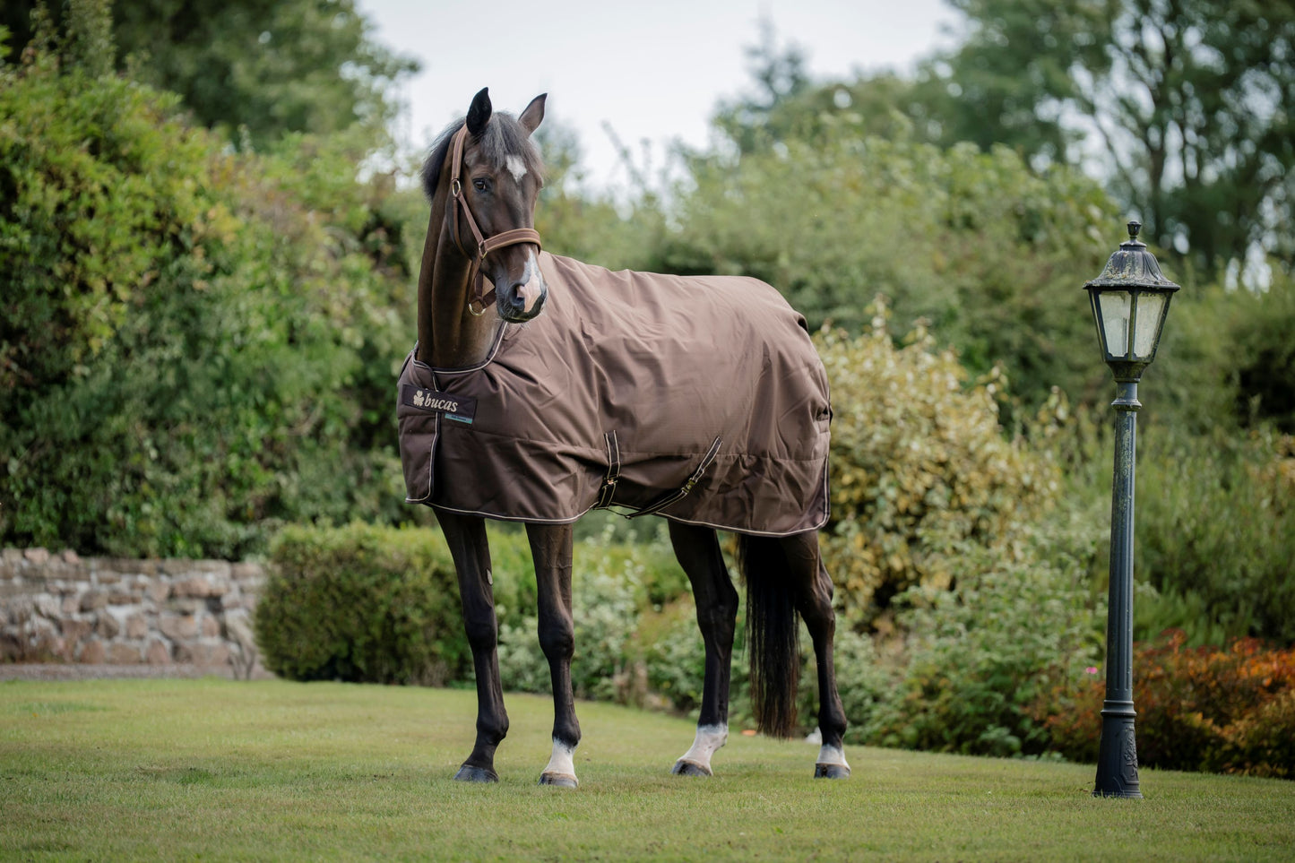 Bucas Irish 150g Turnout Rug With Detachable Neck Cover - Espresso