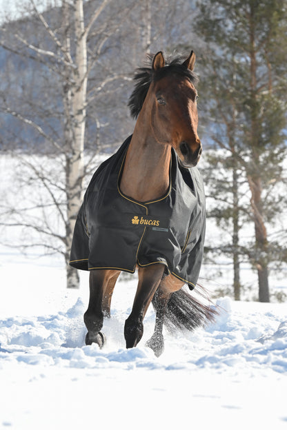 Bucas Irish 300g High Neck Turnout Rug - Black/Gold