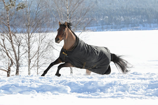 Bucas Irish 300g High Neck Turnout Rug - Black/Gold