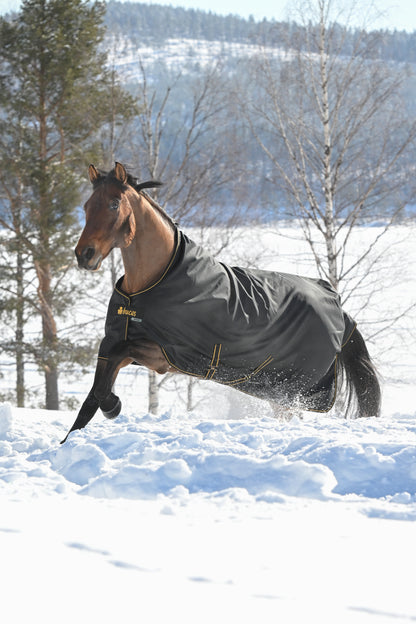 Bucas Irish 300g High Neck Turnout Rug - Black/Gold