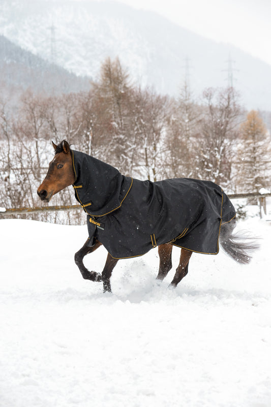 Bucas Irish 150g Turnout Rug With Detachable Neck Cover - Black/Gold