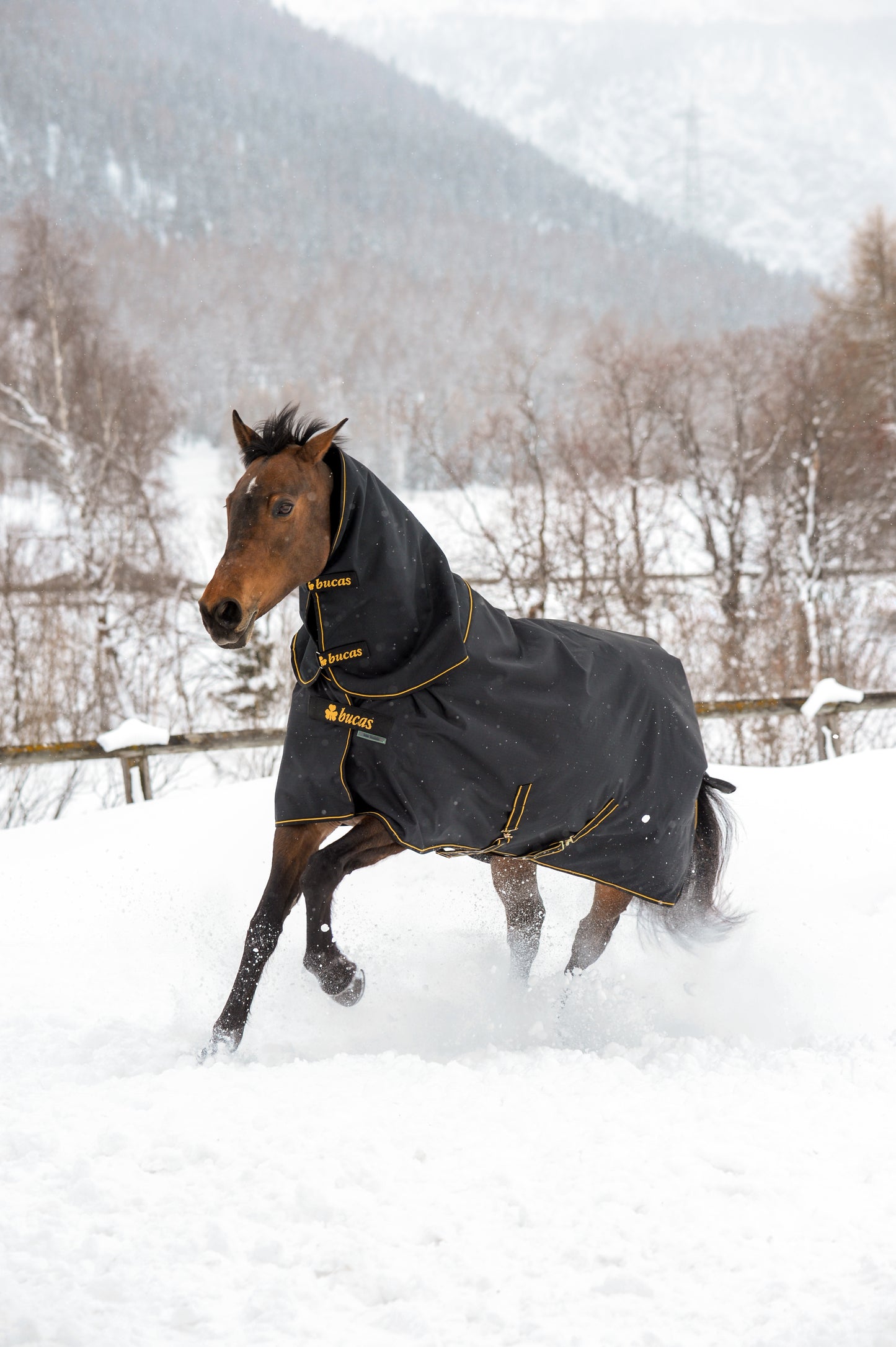 Bucas Irish 300g Turnout Rug with Neck Cover - Black/Gold