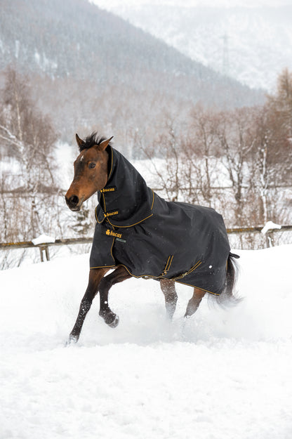 Bucas Irish 300g Turnout Rug with Neck Cover - Black/Gold