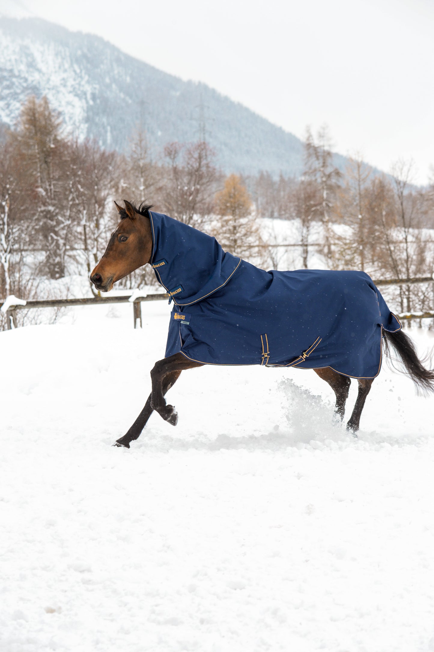 Bucas Irish 300g Standard Neck Turnout Rug - Navy/Gold