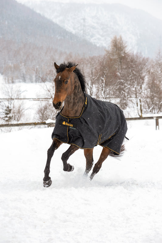 Bucas Irish 150g Standard Neck Turnout Rug - Black/Gold