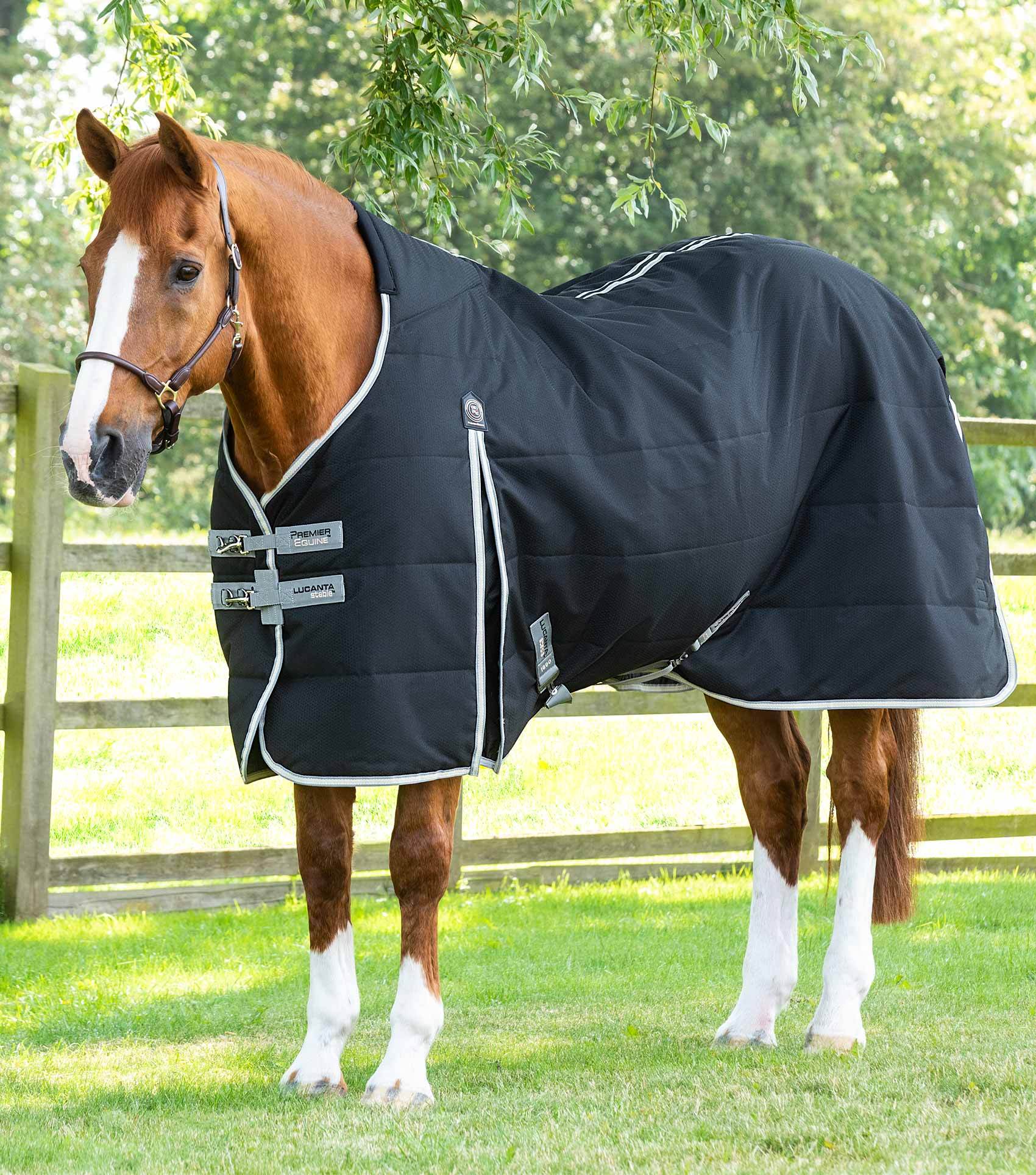 Premier Equine Lucanta Demi Stable Rug 100g - N P Equestrian & Pet Supplies Ltd 