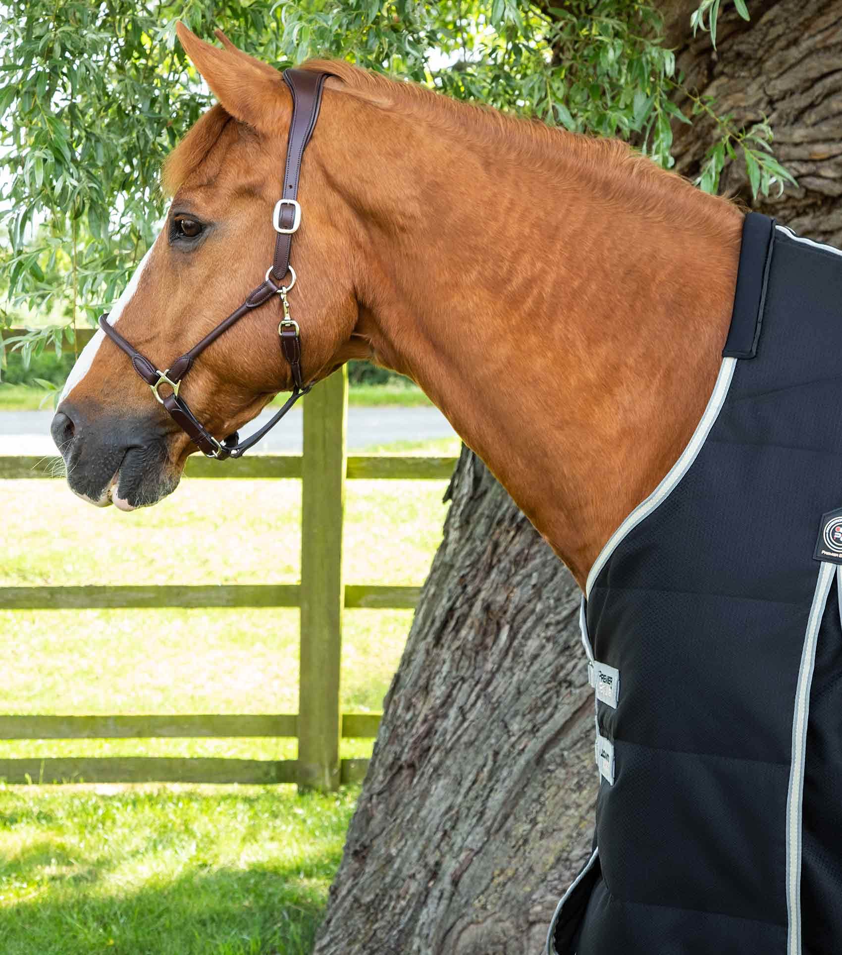 Premier Equine Lucanta Demi Stable Rug 100g - N P Equestrian & Pet Supplies Ltd 