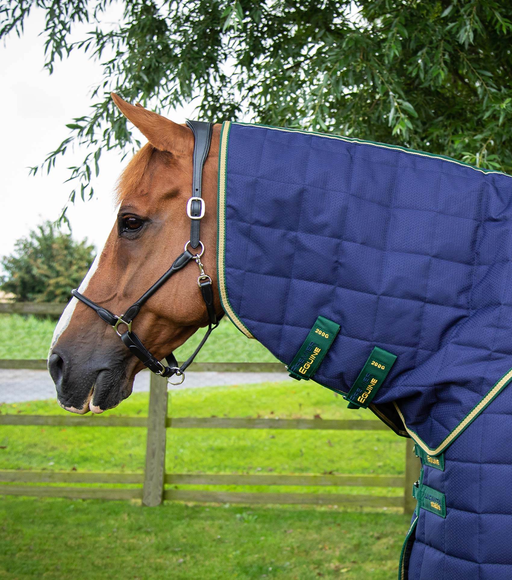 Premier Equine Lucanta 450g Stable Rug with Neck Cover Navy - N P Equestrian & Pet Supplies Ltd 